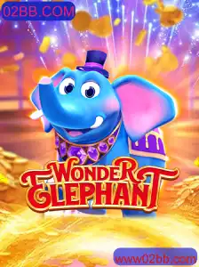 WonderElephant: Um Guia Completo para o Novo Fenômeno do Entretenimento